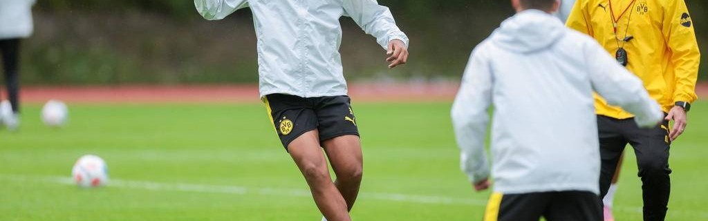 法比奥-席尔瓦加盟多特：能否在德甲首秀前完成注册？