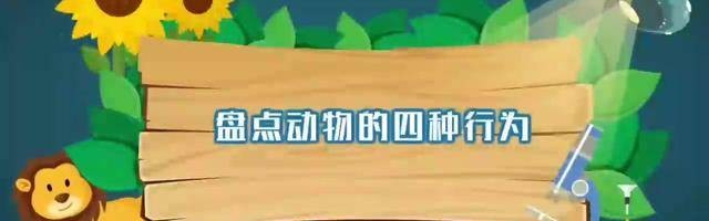 波尔图巨龙崛起，欧冠冠军的辉煌历史