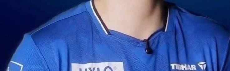 队友起外号！樊振东让小镇搜索量暴增10倍，在德甲官方海报C位