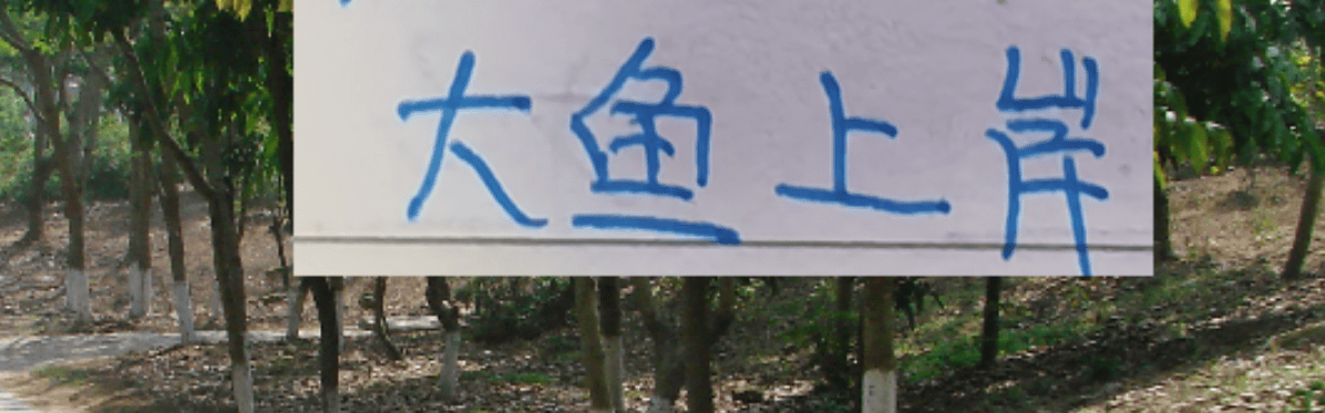 去年中超前5大鱼都上岸 北京国安是德甲大货 海港是本土标王